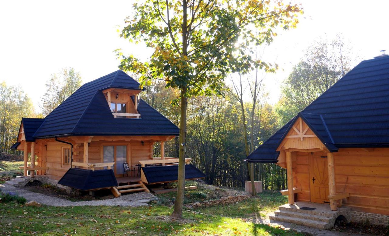 Osada Sudecka Villa Lądek-Zdrój Kültér fotó