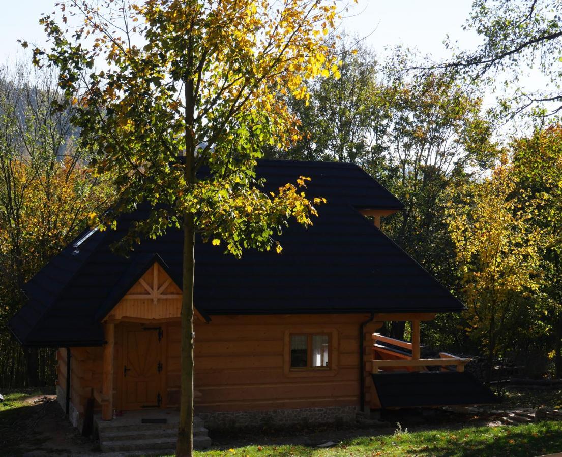 Osada Sudecka Villa Lądek-Zdrój Kültér fotó