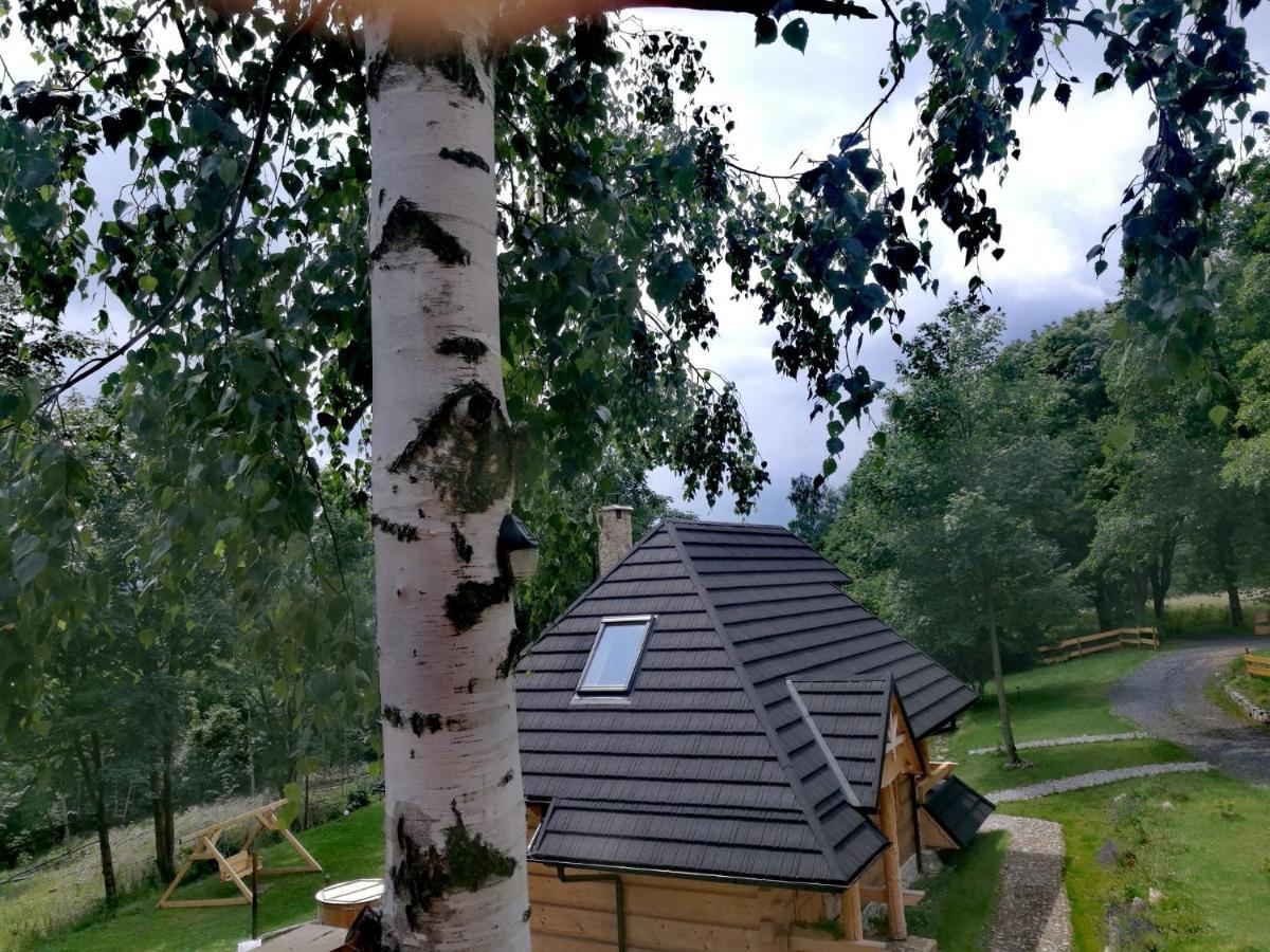 Osada Sudecka Villa Lądek-Zdrój Kültér fotó
